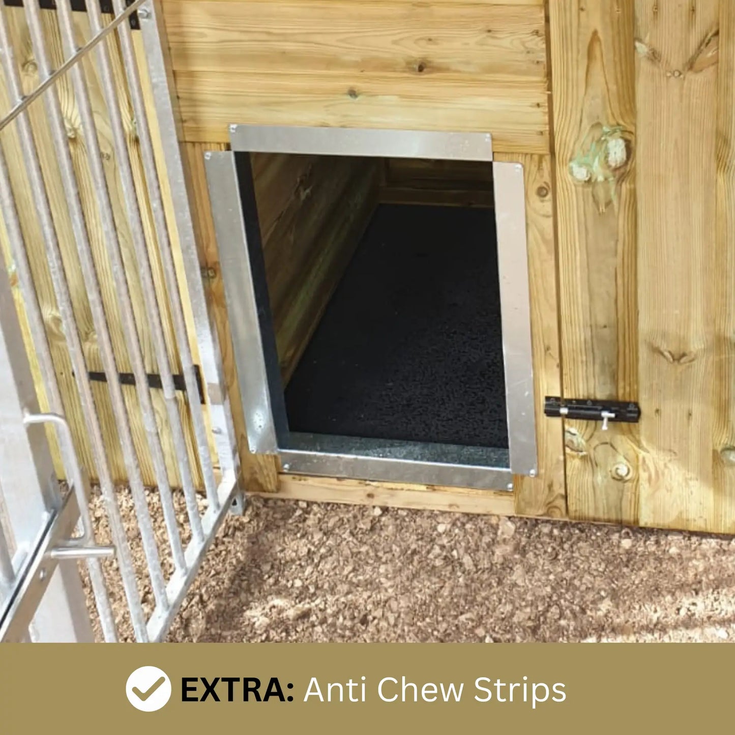 10 x 12ft Double Dog Kennel – Professional Installation Included