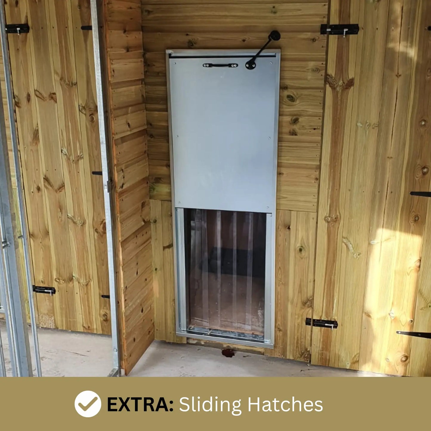 10 x 8ft Single Dog Kennel –  Professional Installation Included